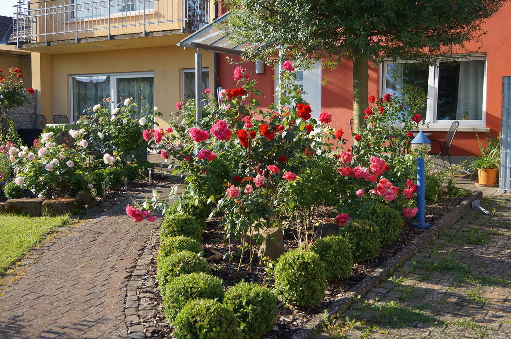 Schloss-garten Kapellen-Drusweiler